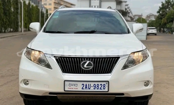 Buy Used Lexus RX 330 White Car in Chbar Mon in Kampong Speu Province Buy Used Lexus RX 330 White Car in Chbar Mon in Kampong Speu Province