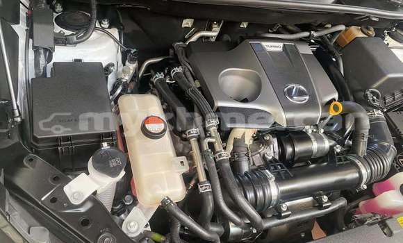 Buy Used Lexus NX White Car in Phnom Penh in Phnom Penh Buy Used Lexus NX White Car in Phnom Penh in Phnom Penh