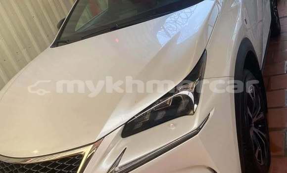 Buy Used Lexus NX White Car in Phnom Penh in Phnom Penh Buy Used Lexus NX White Car in Phnom Penh in Phnom Penh