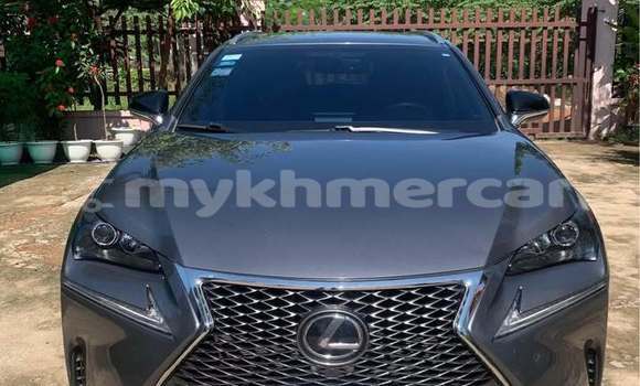 Buy Used Lexus NX Other Car in Phnom Penh in Phnom Penh