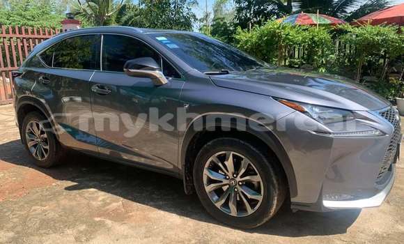 Buy Used Lexus NX Other Car in Phnom Penh in Phnom Penh Buy Used Lexus NX Other Car in Phnom Penh in Phnom Penh