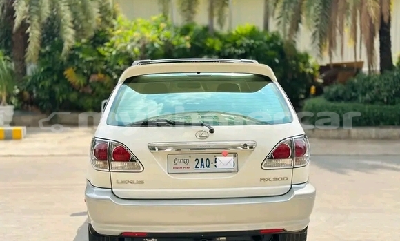 Buy Used Lexus RX 330 White Car in Chbar Mon in Kampong Speu Province Buy Used Lexus RX 330 White Car in Chbar Mon in Kampong Speu Province