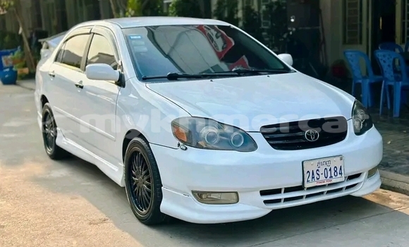 Acheter Occasion Voiture Toyota Corolla Blanc à Cheom Ksan, Preah Vihear Province Acheter Occasion Voiture Toyota Corolla Blanc à Cheom Ksan, Preah Vihear Province