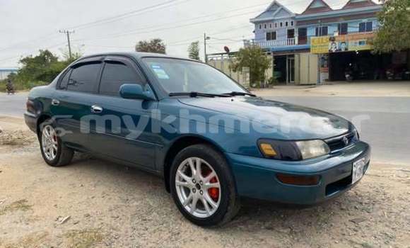 Buy Used Toyota Corolla Other Car in Bavet in Svay Rieng Province Buy Used Toyota Corolla Other Car in Bavet in Svay Rieng Province