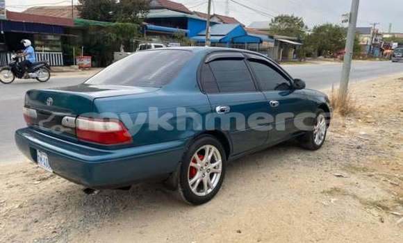 Buy Used Toyota Corolla Other Car in Bavet in Svay Rieng Province Buy Used Toyota Corolla Other Car in Bavet in Svay Rieng Province