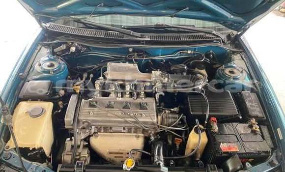 Buy Used Toyota Corolla Other Car in Bavet in Svay Rieng Province Buy Used Toyota Corolla Other Car in Bavet in Svay Rieng Province