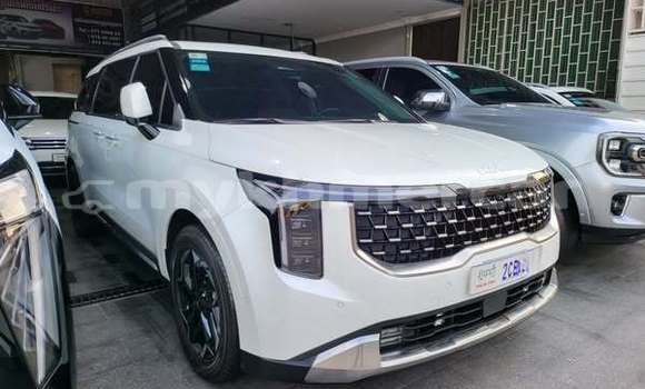 Buy Used Kia Carnival Other Car in Bavet in Svay Rieng Province Buy Used Kia Carnival Other Car in Bavet in Svay Rieng Province