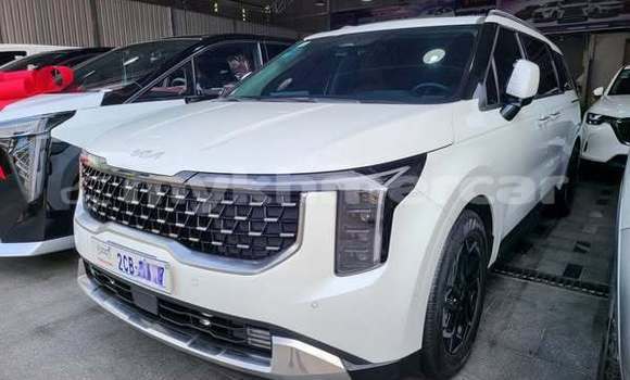 Buy Used Kia Carnival Other Car in Bavet in Svay Rieng Province Buy Used Kia Carnival Other Car in Bavet in Svay Rieng Province