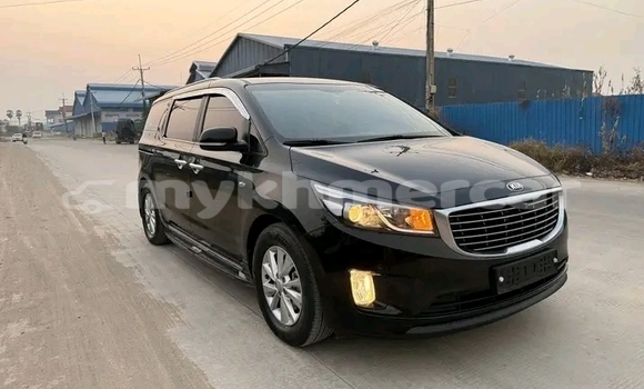 Buy Used Kia Carnival Black Car in Chbar Mon in Kampong Speu Province Buy Used Kia Carnival Black Car in Chbar Mon in Kampong Speu Province