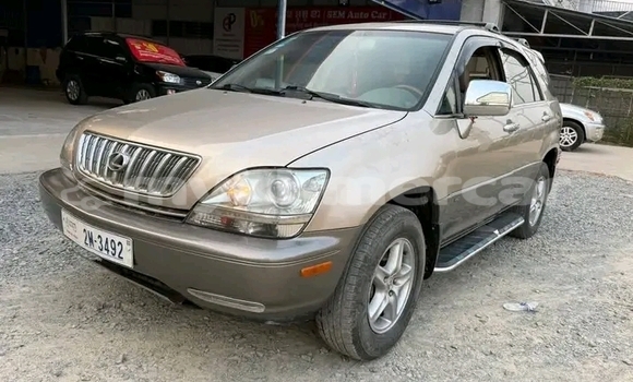 Buy Used Lexus RX 330 Other Car in Chbar Mon in Kampong Speu Province Buy Used Lexus RX 330 Other Car in Chbar Mon in Kampong Speu Province