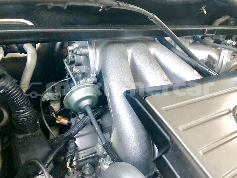 Big with watermark 48380124 359304011294028 6141781316061888512 n