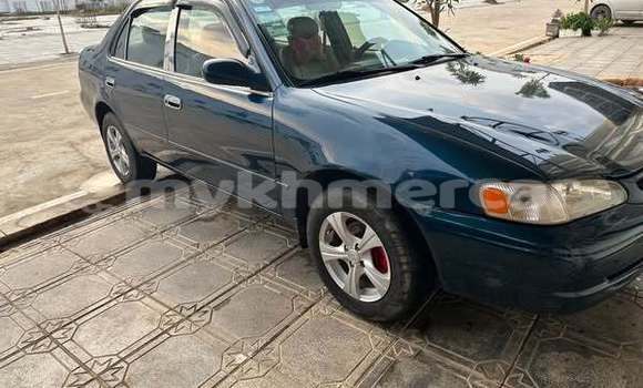 Buy Used Toyota Corolla Other Car in Bavet in Svay Rieng Province Buy Used Toyota Corolla Other Car in Bavet in Svay Rieng Province