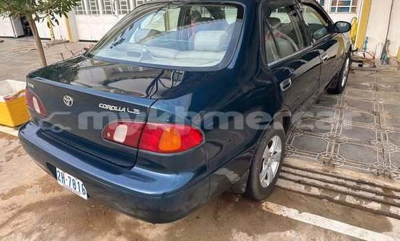 Buy Used Toyota Corolla Other Car in Bavet in Svay Rieng Province Buy Used Toyota Corolla Other Car in Bavet in Svay Rieng Province