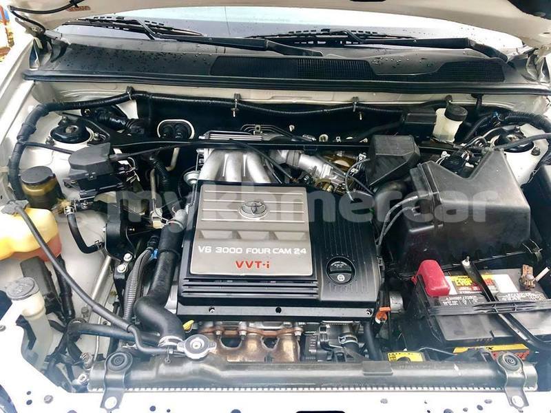 Big with watermark 48372191 359303964627366 923101085952901120 n