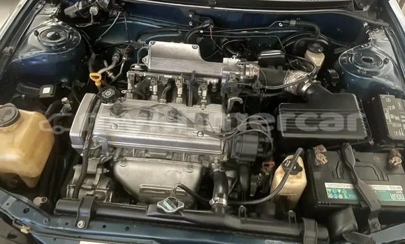 Buy Used Audi A1 Other Car in Chbar Mon in Kampong Speu Province Buy Used Audi A1 Other Car in Chbar Mon in Kampong Speu Province