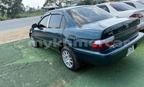 Buy Used Toyota Corolla Black Car in Cheom Ksan in Preah Vihear Province Buy Used Toyota Corolla Black Car in Cheom Ksan in Preah Vihear Province