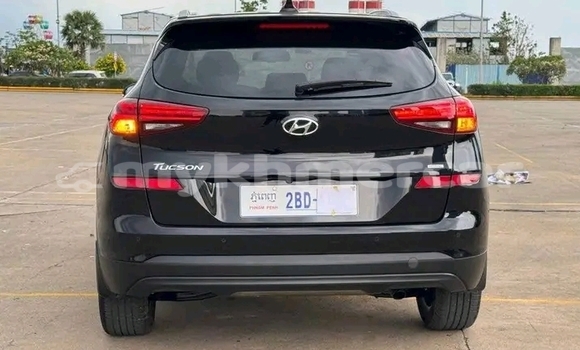 Buy Used Hyundai Tucson Black Car in Cheom Ksan in Preah Vihear Province Buy Used Hyundai Tucson Black Car in Cheom Ksan in Preah Vihear Province