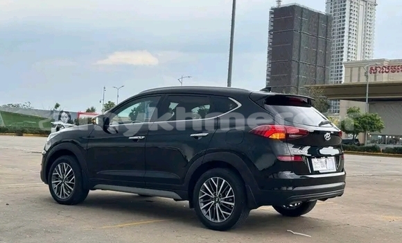 Buy Used Hyundai Tucson Black Car in Cheom Ksan in Preah Vihear Province Buy Used Hyundai Tucson Black Car in Cheom Ksan in Preah Vihear Province