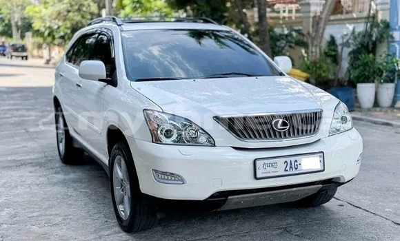 Buy Used Lexus RX 330 White Car in Chbar Mon in Kampong Speu Province Buy Used Lexus RX 330 White Car in Chbar Mon in Kampong Speu Province
