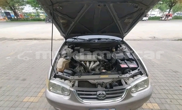 Buy Used Toyota Corolla Other Car in Chbar Mon in Kampong Speu Province Buy Used Toyota Corolla Other Car in Chbar Mon in Kampong Speu Province