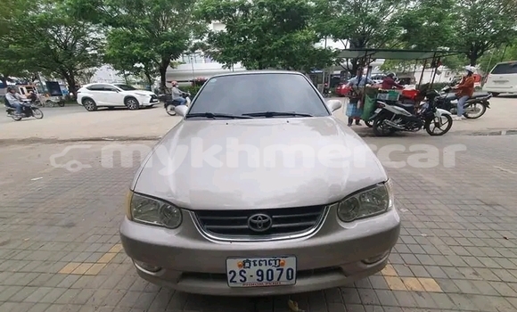 Buy Used Toyota Corolla Other Car in Chbar Mon in Kampong Speu Province Buy Used Toyota Corolla Other Car in Chbar Mon in Kampong Speu Province