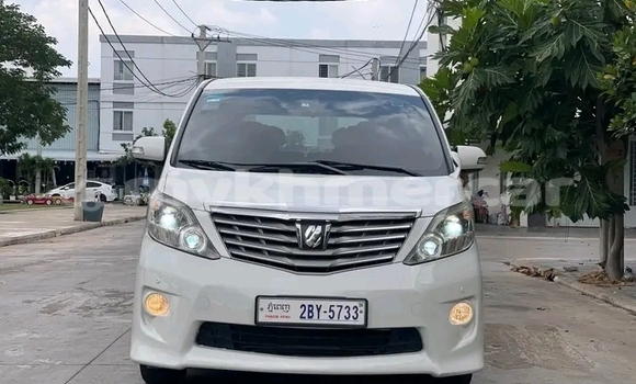 Buy Used Toyota Alphard White Car in Cheom Ksan in Preah Vihear Province Buy Used Toyota Alphard White Car in Cheom Ksan in Preah Vihear Province