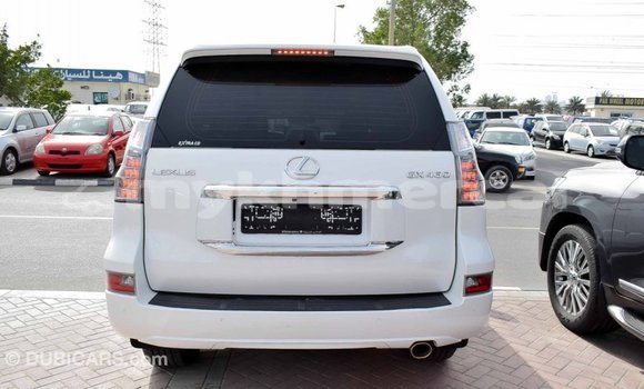 Buy Import Lexus GX White Car in Import - Dubai in Kampot Province Buy Import Lexus GX White Car in Import - Dubai in Kampot Province