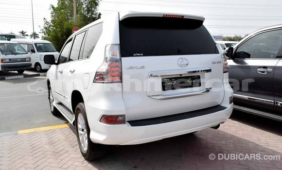 Buy Import Lexus GX White Car in Import - Dubai in Kampot Province Buy Import Lexus GX White Car in Import - Dubai in Kampot Province