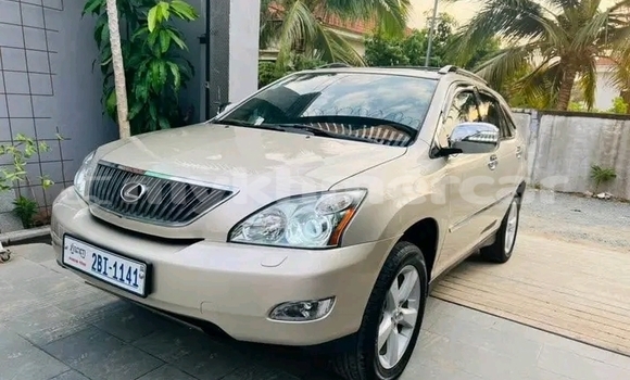 Buy Used Lexus RX 330 Other Car in Cheom Ksan in Preah Vihear Province Buy Used Lexus RX 330 Other Car in Cheom Ksan in Preah Vihear Province