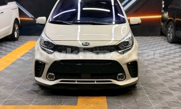 Buy Used Kia Morning White Car in Kampot in Kampot Province Buy Used Kia Morning White Car in Kampot in Kampot Province