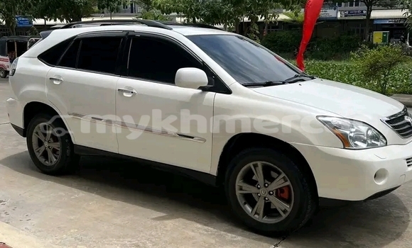 Buy Used Lexus NX White Car in Cheom Ksan in Preah Vihear Province Buy Used Lexus NX White Car in Cheom Ksan in Preah Vihear Province