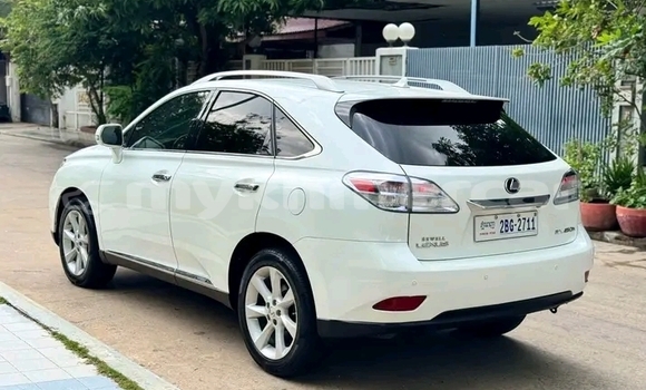 Buy Used Lexus NX White Car in Chbar Mon in Kampong Speu Province Buy Used Lexus NX White Car in Chbar Mon in Kampong Speu Province