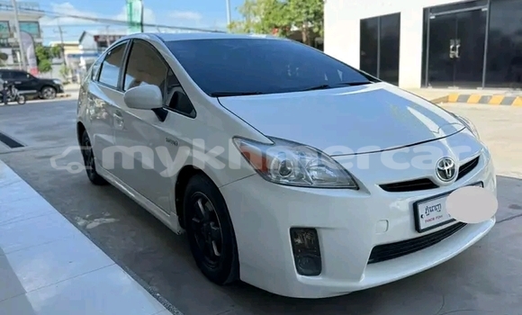 Buy Used Toyota Prius Alpha White Car in Chbar Mon in Kampong Speu Province Buy Used Toyota Prius Alpha White Car in Chbar Mon in Kampong Speu Province