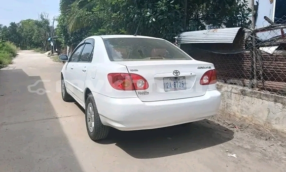 Buy Used Toyota Corolla White Car in Chbar Mon in Kampong Speu Province Buy Used Toyota Corolla White Car in Chbar Mon in Kampong Speu Province