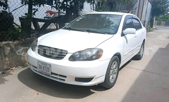 Buy Used Toyota Corolla White Car in Chbar Mon in Kampong Speu Province Buy Used Toyota Corolla White Car in Chbar Mon in Kampong Speu Province