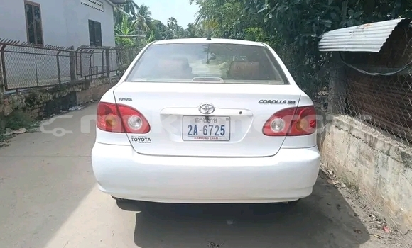 Buy Used Toyota Corolla White Car in Chbar Mon in Kampong Speu Province Buy Used Toyota Corolla White Car in Chbar Mon in Kampong Speu Province