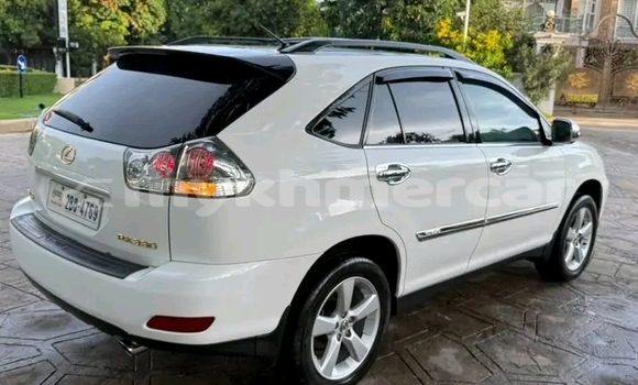 Acheter Occasion Voiture Lexus NX Blanc à Chbar Mon, Kampong Speu Province Acheter Occasion Voiture Lexus NX Blanc à Chbar Mon, Kampong Speu Province