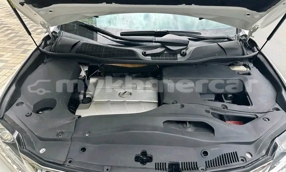 Buy Used Lexus RX 330 White Car in Chbar Mon in Kampong Speu Province