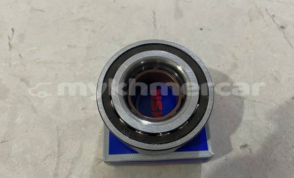 Medium with watermark img 5828