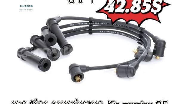 Medium with watermark 117