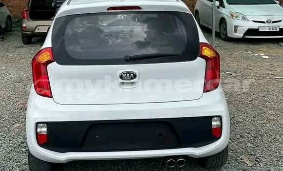 Buy Used Kia Morning White Car in Kampong Chhnang in Kampong Chhnang Province Buy Used Kia Morning White Car in Kampong Chhnang in Kampong Chhnang Province