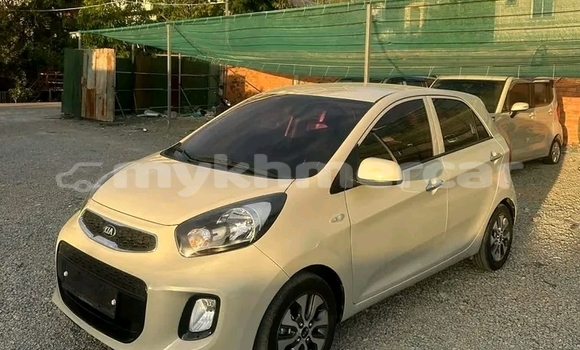 Buy Used Kia Morning White Car in Ta Khmau in Kandal Province Buy Used Kia Morning White Car in Ta Khmau in Kandal Province
