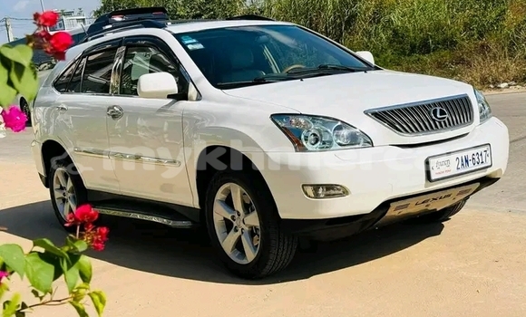 Buy Used Lexus RX 330 White Car in Kep in Kep Province Buy Used Lexus RX 330 White Car in Kep in Kep Province