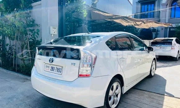 Buy Used Toyota Prius White Car in Kep in Kep Province Buy Used Toyota Prius White Car in Kep in Kep Province