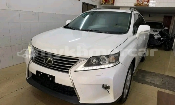 Buy Used Lexus RX 330 White Car in Chbar Mon in Kampong Speu Province Buy Used Lexus RX 330 White Car in Chbar Mon in Kampong Speu Province