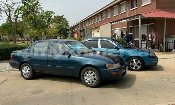 Buy Used Toyota Corolla Other Car in Chbar Mon in Kampong Speu Province Buy Used Toyota Corolla Other Car in Chbar Mon in Kampong Speu Province