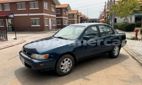 Buy Used Toyota Corolla Other Car in Chbar Mon in Kampong Speu Province Buy Used Toyota Corolla Other Car in Chbar Mon in Kampong Speu Province