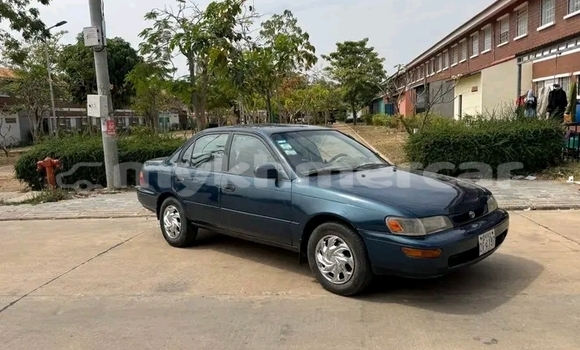 Buy Used Toyota Corolla Other Car in Chbar Mon in Kampong Speu Province Buy Used Toyota Corolla Other Car in Chbar Mon in Kampong Speu Province