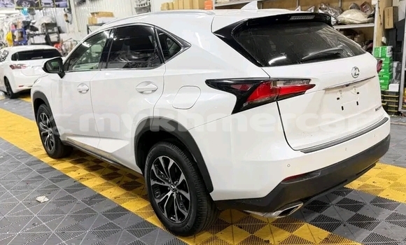 Buy Used Lexus NX White Car in Chbar Mon in Kampong Speu Province