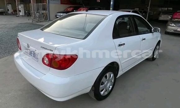 Buy Used Toyota Corolla White Car in Chbar Mon in Kampong Speu Province